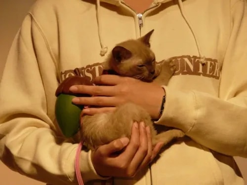 Image 11607