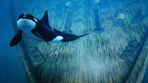 Image 9444