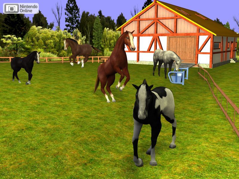Pferde Online Games